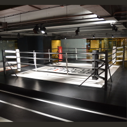 Боксерский ринг в раме