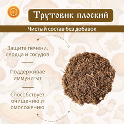 Трутовик плоский.