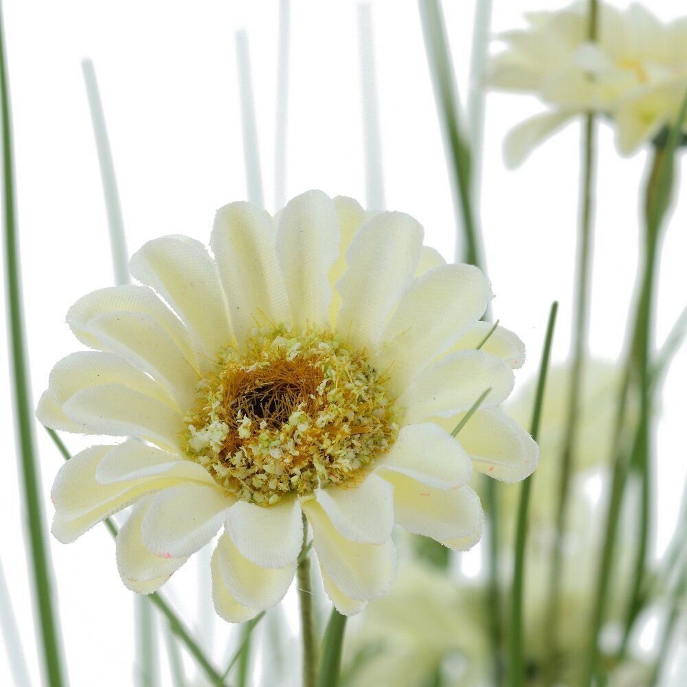 GAEM Цветочная композиция "Космея", L31 W28 H71 см