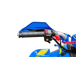 Квадроцикл YACOTA TYPHOON 250