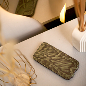 Чехол для iPhone 17 Pro кожаный, питон зеленого цвета