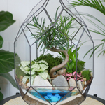 Готовый флорариум бонсай Подокарпус Цефей с озером