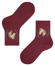 Носки Horse FALKE 12185/8830