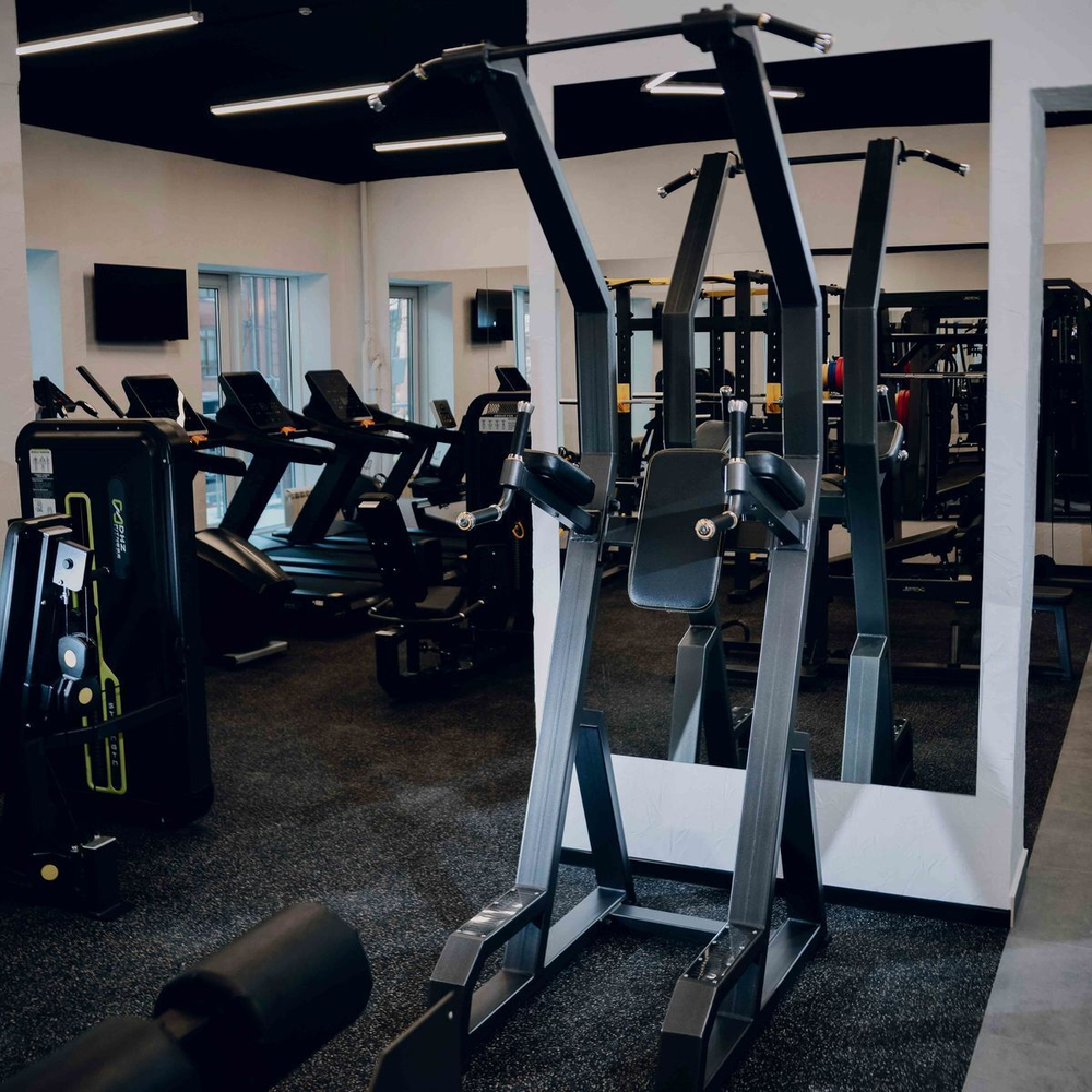 A3049 Брусья-пресс-турник