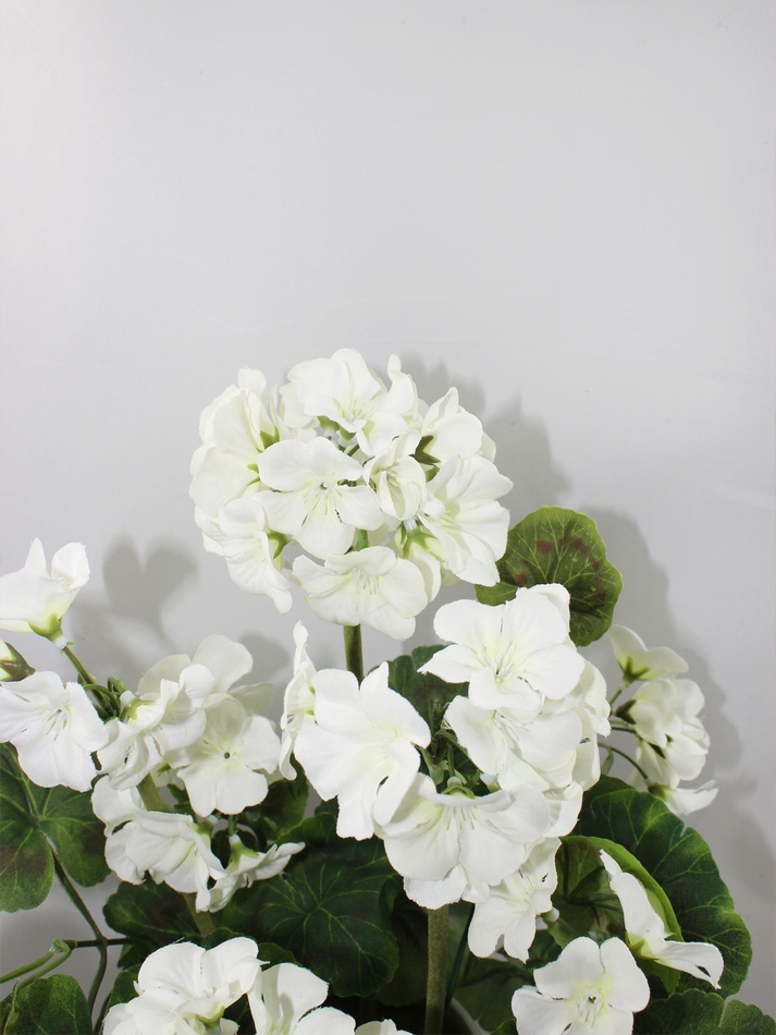 Искусственные цветы Герань белая 30см в кашпо