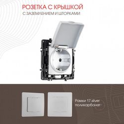 Розетка влагозащищенная с заземлением и со шторкой с крышкой Arte Milano am-217 217.41-1.silver