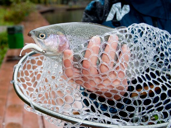 Подсачек разборный LJ Area Trout Game 115х35х45см силиконовый