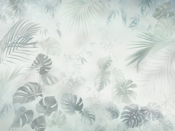 Коллекция Vento