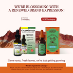 Herbs Etc., ChlorOxygen®, концентрат хлорофилла, оригинальный, без спирта, 30 мл (1 жидк. унция)