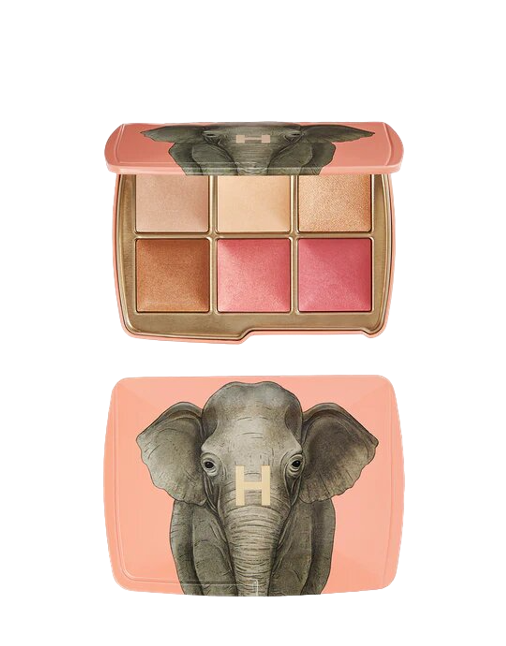 Hourglass Ambient Lighting Edit Unlocked - Elephant