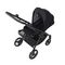 Коляска ANEX iQ 2 в 1 (iQ-10) nyx