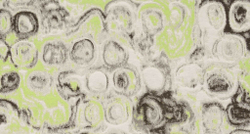 Флок Roccapalumba (Роккапалумба) 05