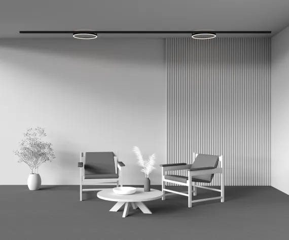 Трековый светильник Рим / Rim Exility 4000K 24Вт 120° Technical tr227-2-24w4k-b