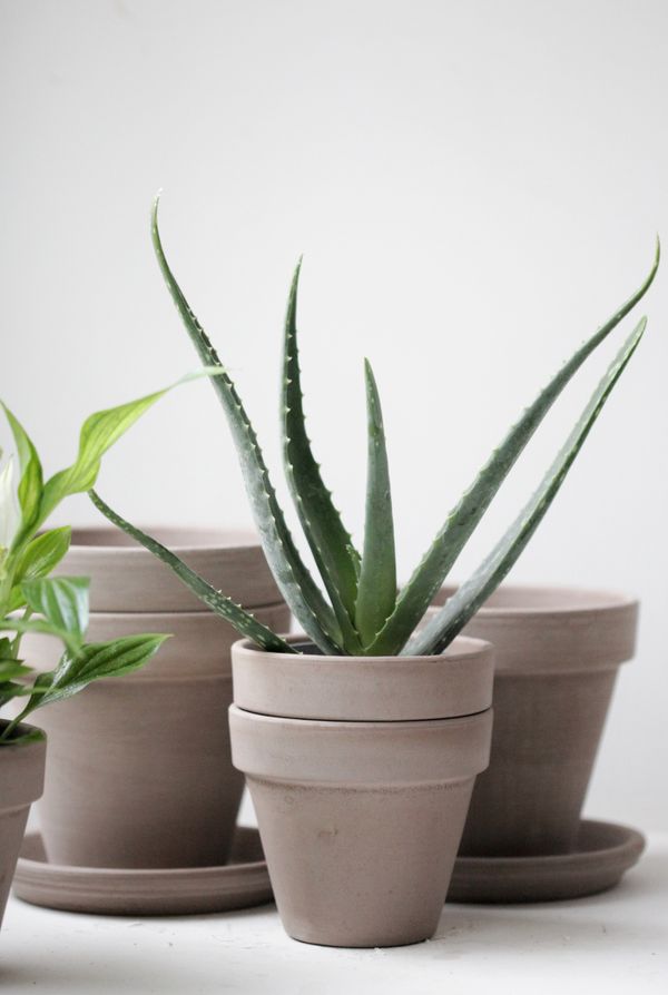 Терракотовый горшок Grey купить в интернет - магазине KRAPIVA