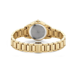 CERRUTI 1881 CIWLG2232401