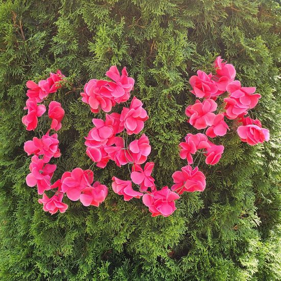 Гирлянда из цветов крупных, темно-розовая