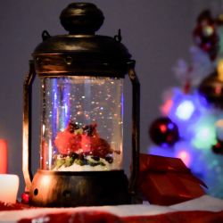 Светодиодная новогодняя фигура ЭРА ENGDS-12 Красный кардинал 1 LED