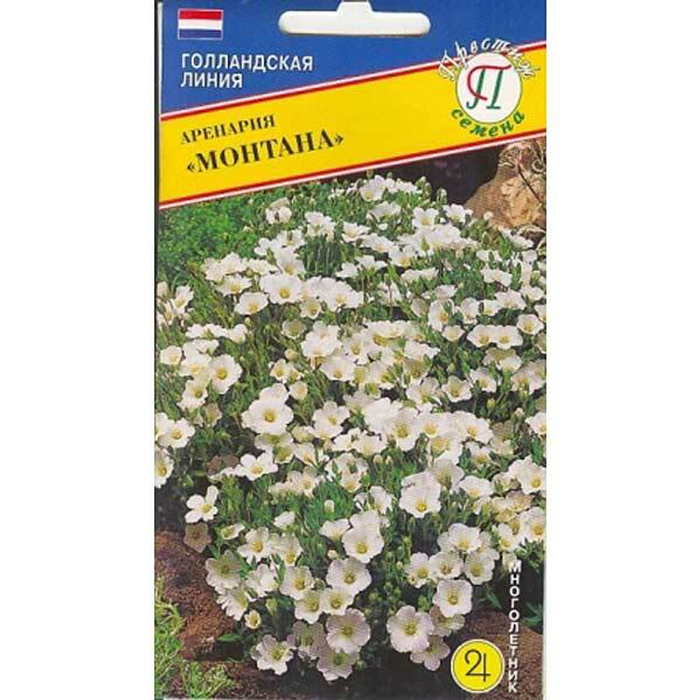 Аренария Монтана 5шт.