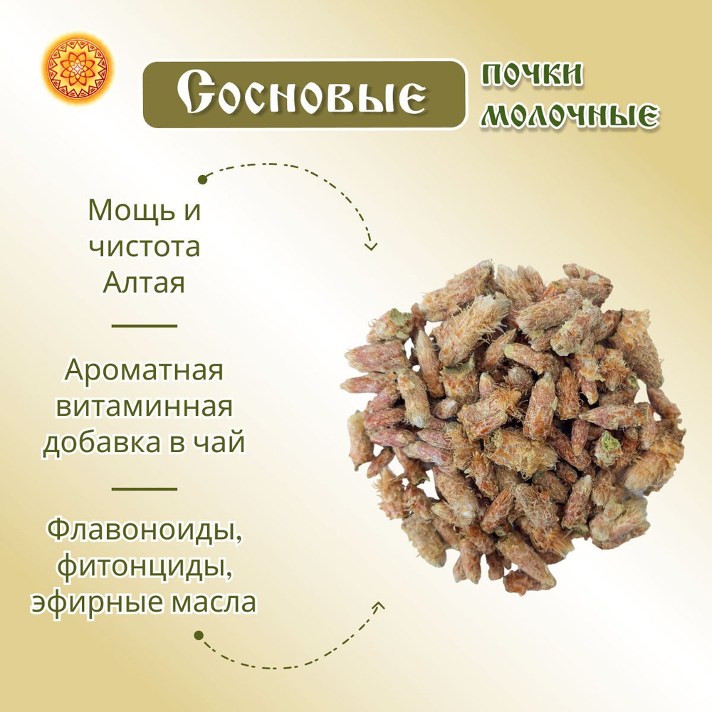 Сосновая почка.