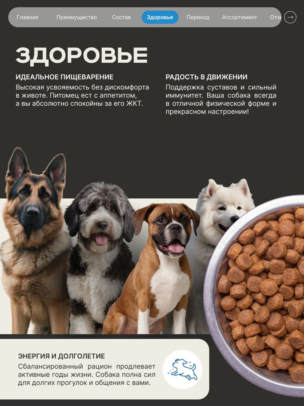 Корм сухой для взрослых собак породы Среднеазиатская овчарка (Алабай), премиум полнорационный комплекс, с лососем, 12 кг, QUATTRO