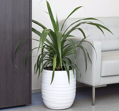 Кашпо ЛАЙН D350мм H 390мм 33л со вставкой