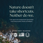 New Chapter, Магний + ашваганда, 60 веганских таблеток