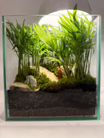 Флорариум S (от 10 до 20 см)