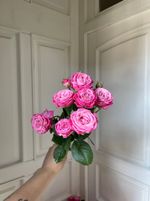 Пионовидная кустовая роза сорт ЛЕДИ БОМБАСТИК