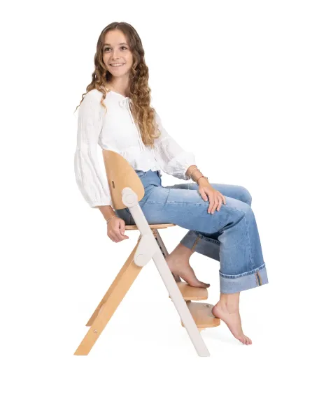 Стульчик для кормления Chicco Meraviglia Fossil