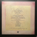 Todd Rundgren ‎– Initiation (США 1975г.)