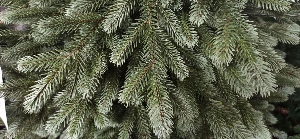 Ель искусственная «Архангельская» (Литая хвоя) от 1,2 м до 3 м