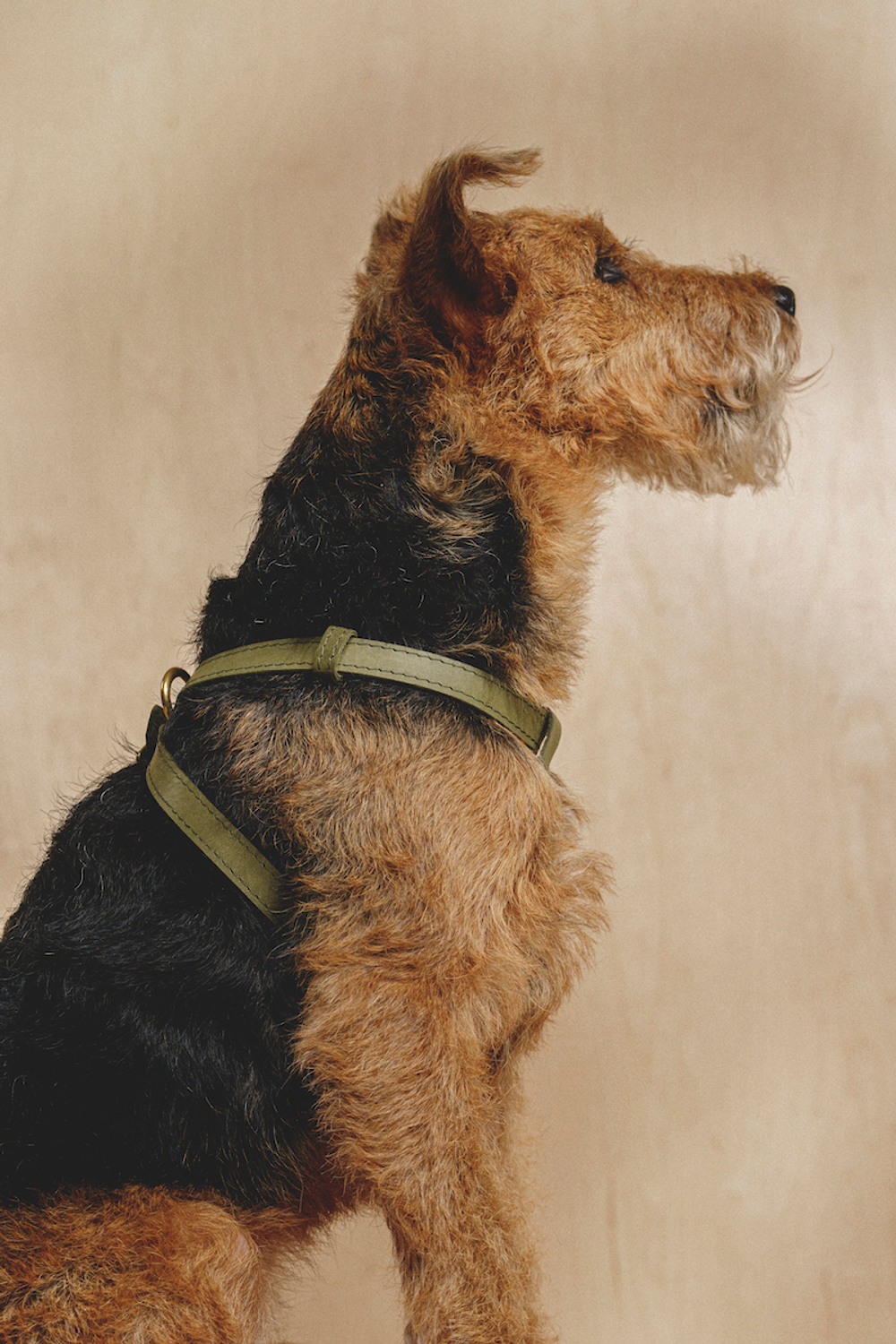 Цельнокожаная шлейка Зеленая