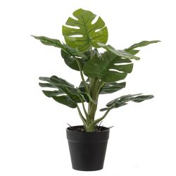 GAEM Цветочная композиция, L25 W25 H30 см, 5в.