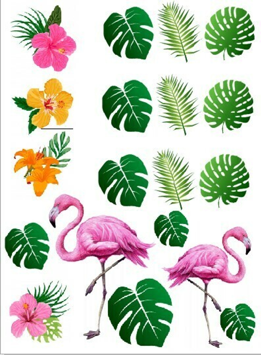 Печать на съедобной бумаге. Тропики