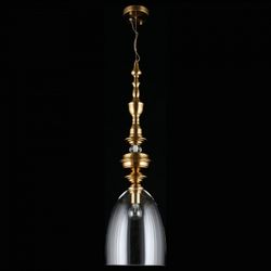 Подвесной светильник Aployt Rena APL.602.16.01