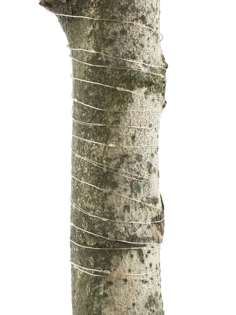 Гирлянда роса уличная СТАРТ для сада на солнечной батарее RGB