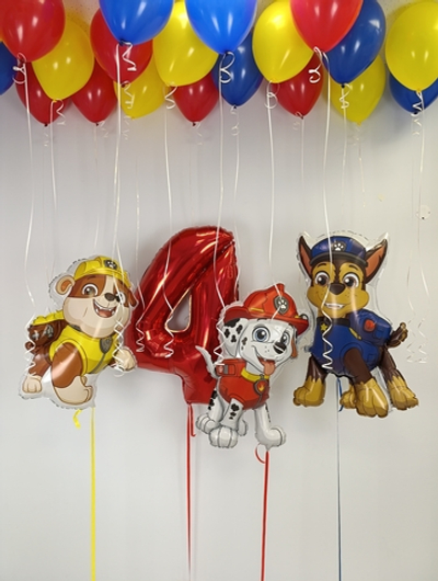 Дружная команда (Щенячий патруль)