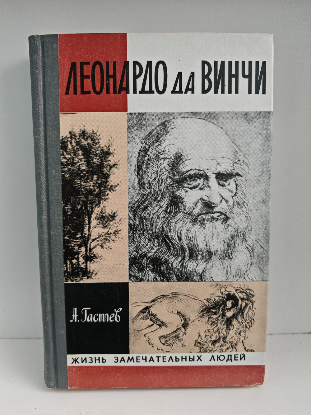 Леонардо да Винчи (ЖЗЛ)