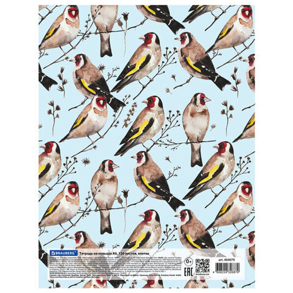 Тетрадь на кольцах А5 175х215 мм, 120 л., твердый картон, клетка, BRAUBERG, "Щеглы", 404079