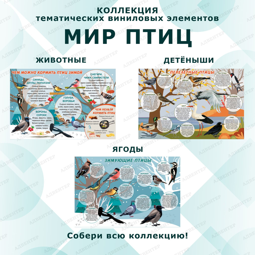 Комплект развивающий Мир птиц: Чем можно кормить птиц зимой 2158