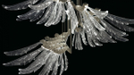Светильник Barovier&Toso Angel