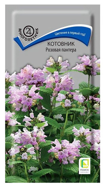 Котовник Розовая пантера 10шт Поиск