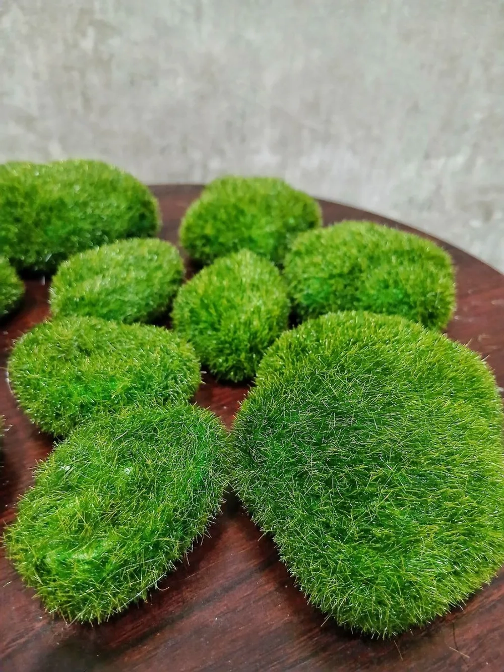 Декоративные камни из мха