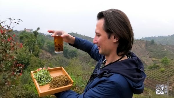 Производство чая Дяньхун на горе Ин Пань Шань