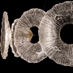 Подвесная люстра Arte Lamp CHERISH A2097LM-90GO