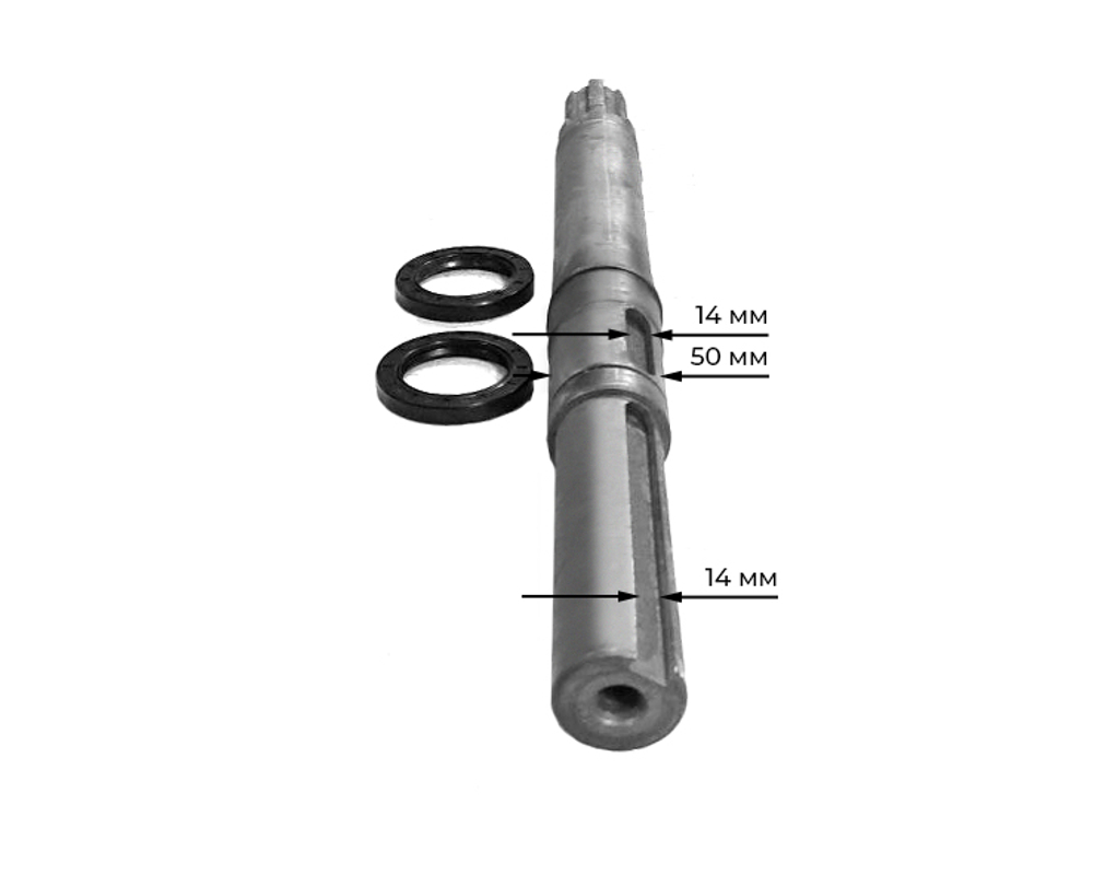 TA-244-1-Xingtai-2