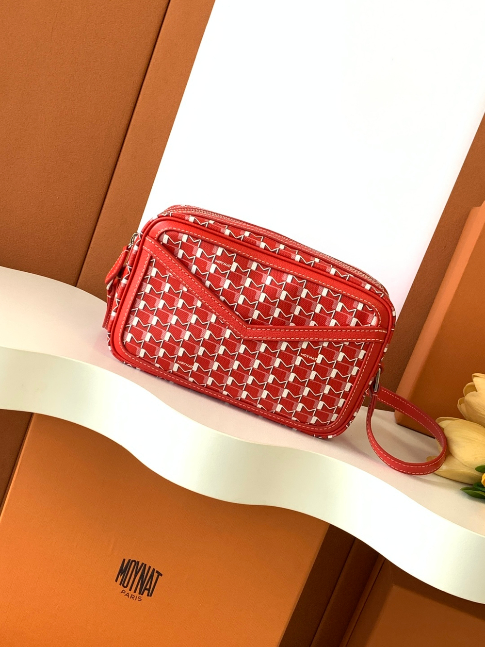 Moynat Camera Bag 22 cm