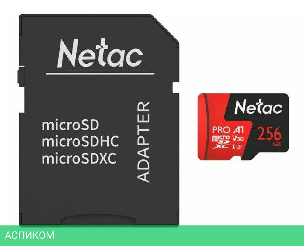 Карта памяти Netac NT02P500PRO-256G-R