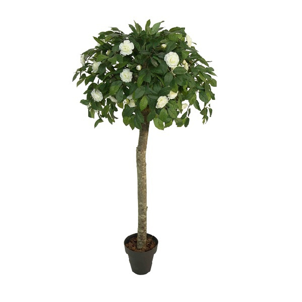 Камелия 110 см