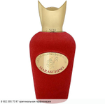 Maraschino